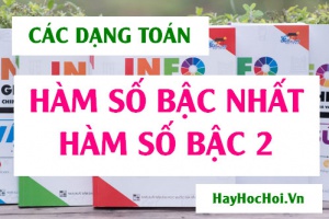 Các dạng toán về Hàm số bậc nhất, Hàm số bậc hai và bài tập vận dụng - Toán lớp 10
